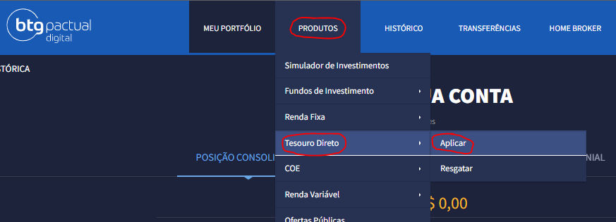 Tesouro Direto site btg