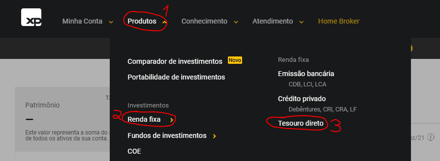 Como Acessar o Tesouro Direto na XP Investimentos