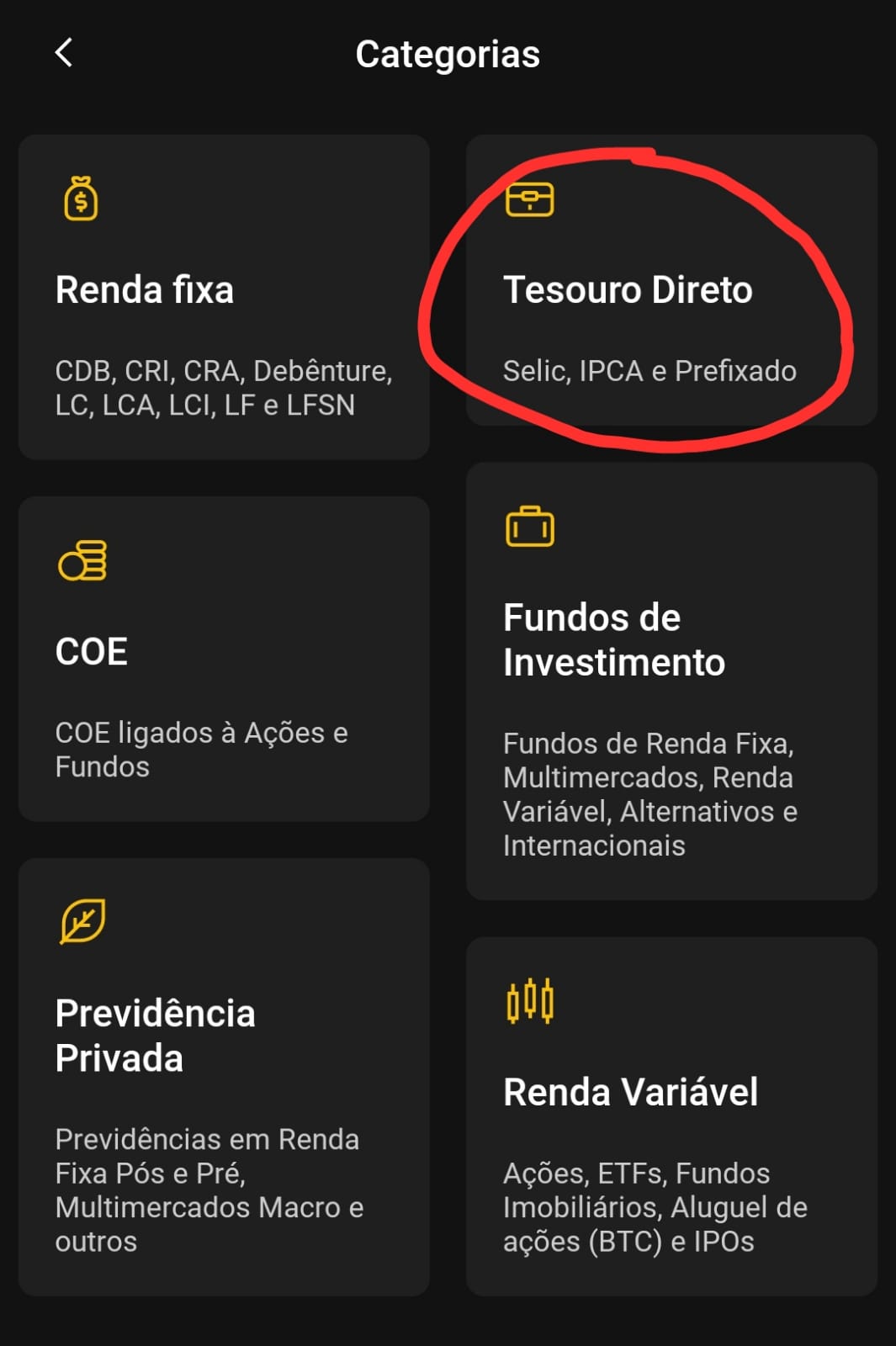 Tesouro Direto XP Investimentos